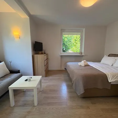 Apartament Big Family Apartment, 3 Bedrooms, Terrace, 1st Floor, Center